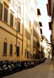 Rows of mopeds (Florence, Italy)